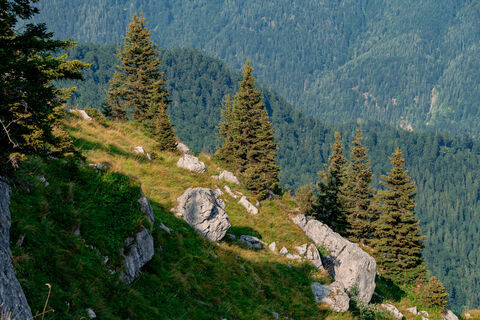 Photo de Leo Fahrngruber le long du parcours
