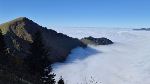 Photo de alinradu le long du parcours