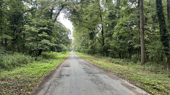 Foto von NAGY SZABOLCS 纳吉・萨博尔奇 entlang der Tour