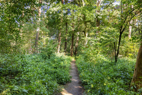 Weg am LandStreifer Gernebachtal in Datteln