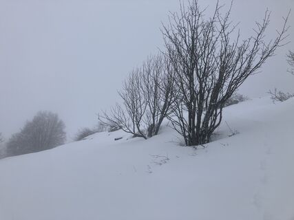 Foto de MaurizioPighin a lo largo del recorrido