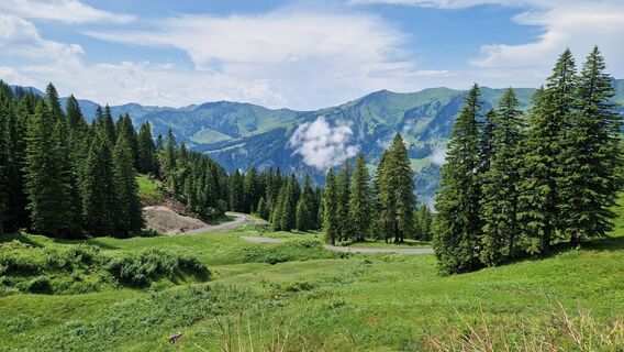 Fotografie z Gerrit van der Linde na trase