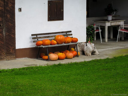 "Drau-Ebene" Spaziergang