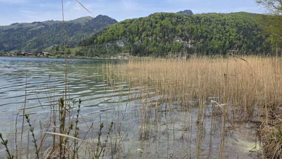 Foto von Thomas Edenhauser entlang der Tour