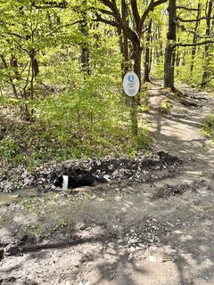 Photo de Daniel Endredi le long du parcours