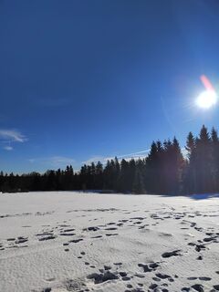 Photo from ReginaSt along the tour