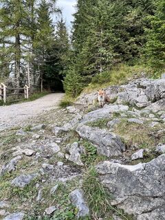 Photo de Piotr Kretowicz le long du parcours