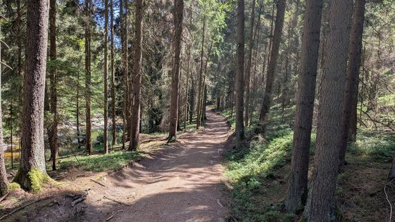 Photo de Edero le long du parcours