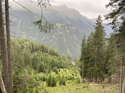 Photo de Thomas Möllerfeld le long du parcours