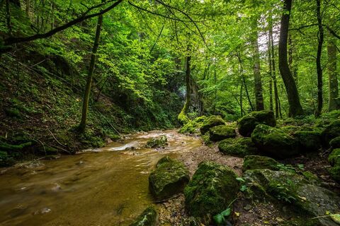 Johannesbachklamm
