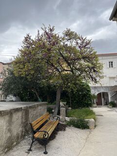 Fotografija s spletne strani Gerald Ochsenhofer na poti