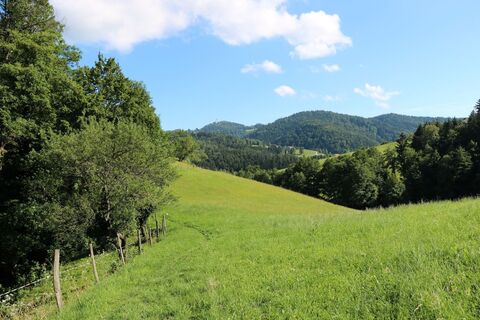 Wandern am UrKräuterweg - Entlang der Grenze