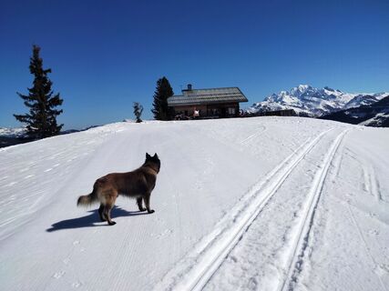 Photo de Delpyalain73 le long du parcours