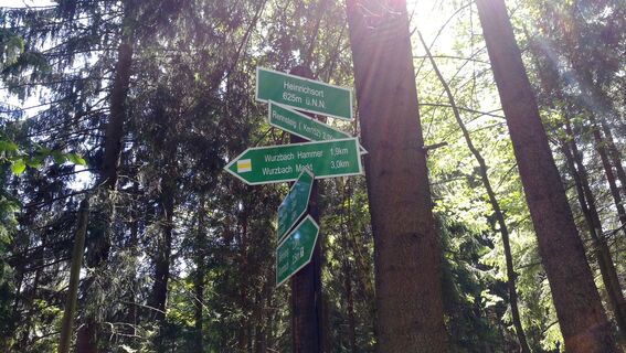 Rund um den Vogelberg bei Wurzbach