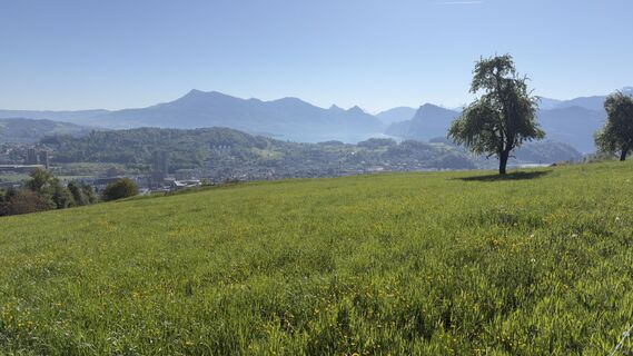 Photo de Peter Burki le long du parcours