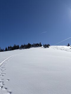 Foto von Heinz Sperl entlang der Tour