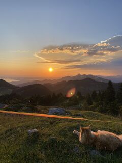 Photo de Sven Krieblin le long du parcours