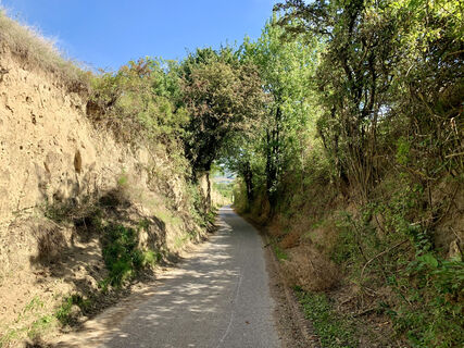 Königsberg-Hohlweg, Groß-Schweinbarth, Hohlwegrunde