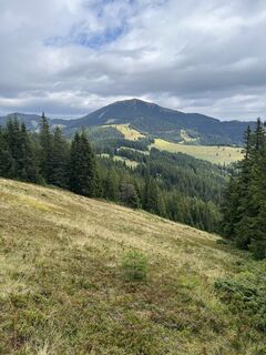 Foto von Renate Wanderhexe entlang der Tour
