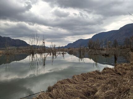 Foto von Jacky Blues 1 entlang der Tour