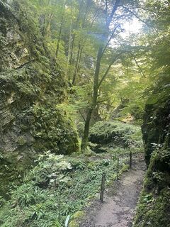 Photo de Martin Reinhard le long du parcours