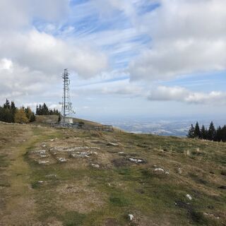 Photo de Petronella Albegger le long du parcours