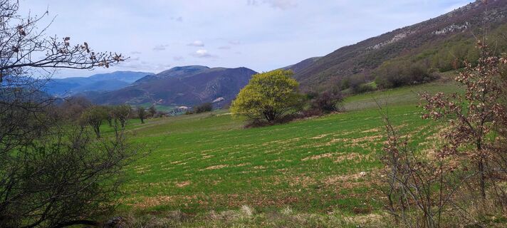 Fotografia z Franco Bini na trase