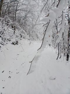 Fotografia z Daniel Kremiec na trase