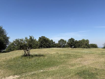 Photo de Moonytiger le long du parcours