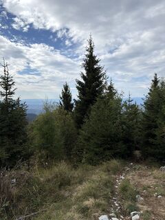 Foto von Flo entlang der Tour