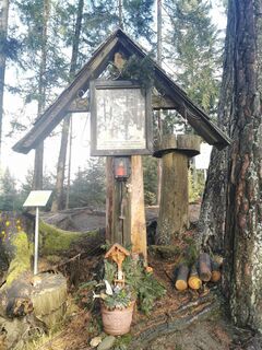 Fotografia z Mela na trase