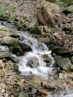 Photo de Wanderfux le long du parcours