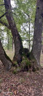 Foto von Vermes Sandor78 entlang der Tour