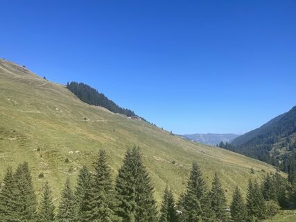 Foto von firebird 93 entlang der Tour