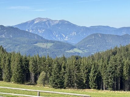 Foto da Georgiamartin0815 lungo il tour