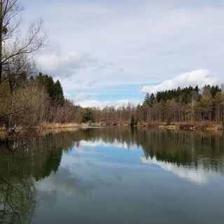 Der Hürdenteich am Beginn der Wanderung.