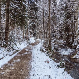 Winterwanderung im Tonbachtal