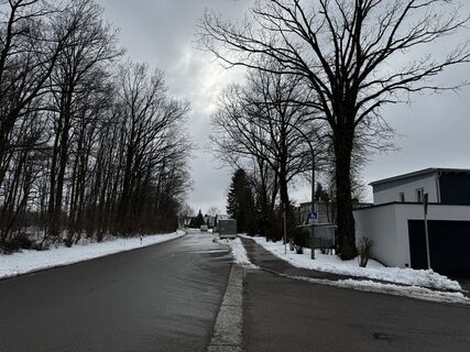 Foto de Schaali a lo largo del recorrido