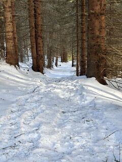 Fotografija s spletne strani Péter Vass na poti