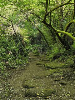 Photo de Roberto Branzanti le long du parcours