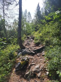 Fotografia z Gudi kowa na trase