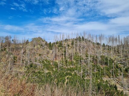 Foto von Lu. na entlang der Tour