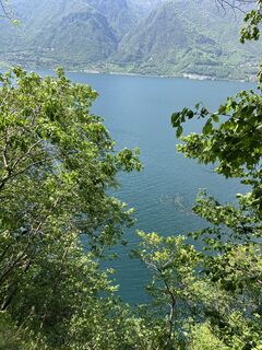Fotografia z Heikoala na trase