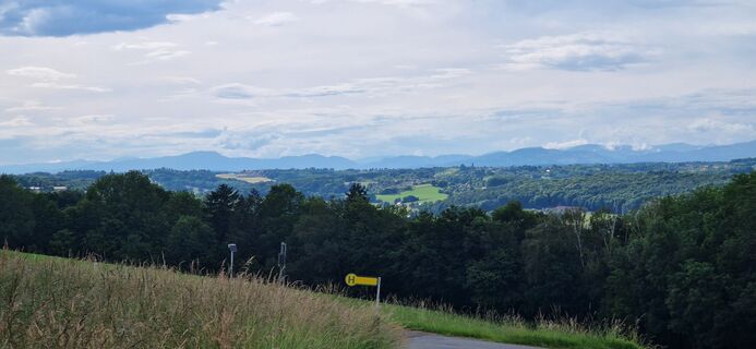 Fotografia z Utassy Tóth Johanna na trase