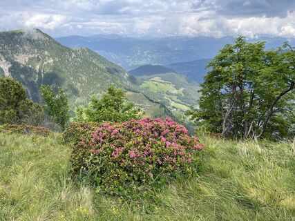 Foto von Susanne Johansson Pantzare entlang der Tour