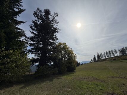 Fotografija s spletne strani Gerti Glettler na poti