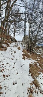 Photo de Daniele Spezia le long du parcours