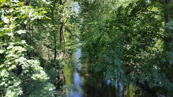 Im Flöhatal bei Hirschberg