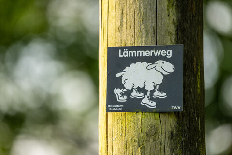 Wegezeichen Bielefelder Lämmerweg