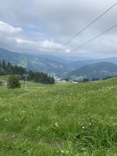 Fotografie z ordziege na trase